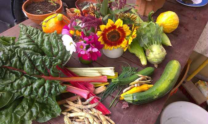 ABGESAGT! Bienen- und Insekten-freundliche Selbstversorgung mit Gemüse, Kräutern & Blumen