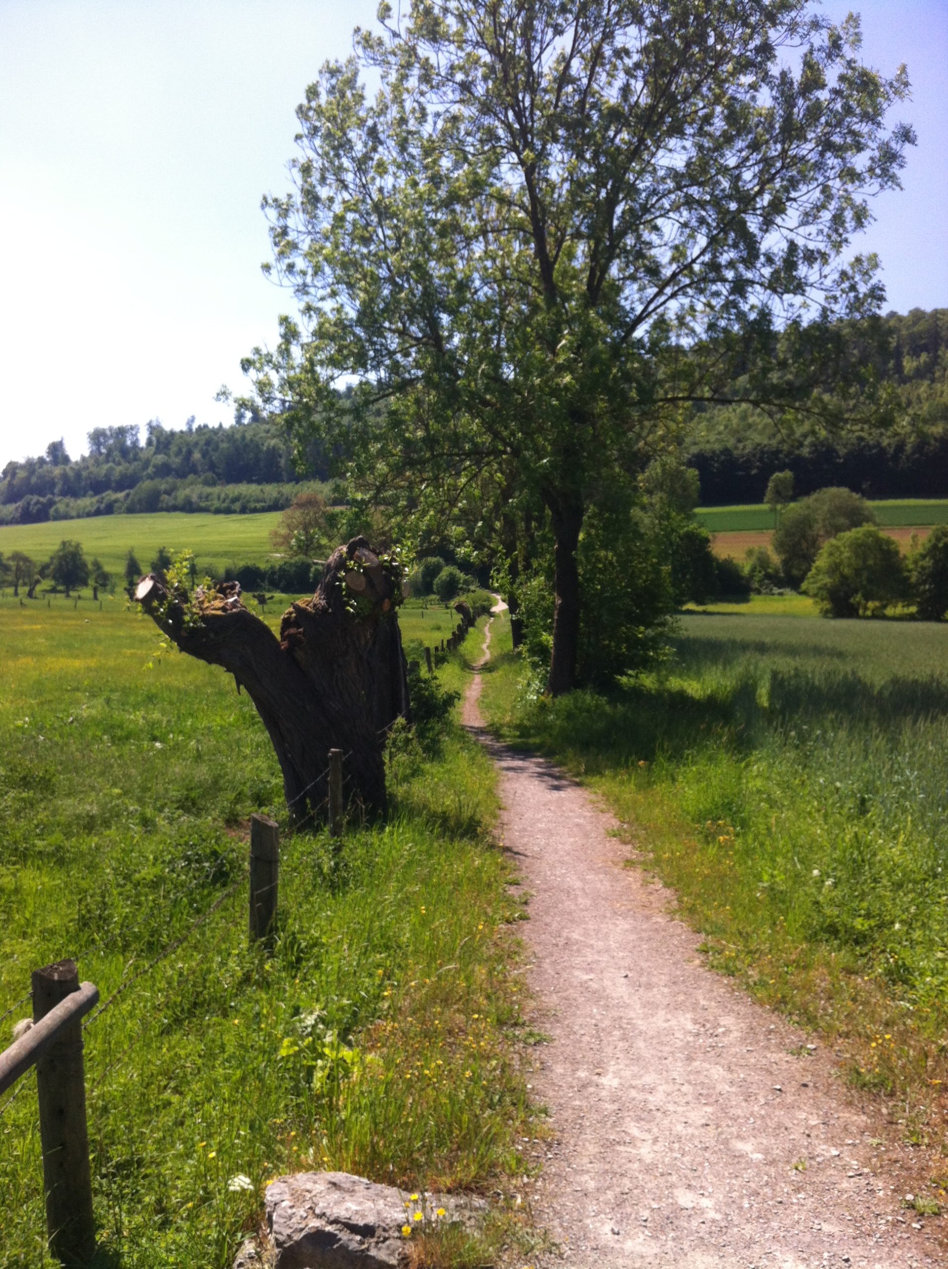 AUSZEIT - stilles Wander-Retreat