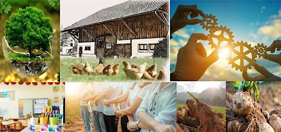 Vortrag: Grundlagen zur Zukunftssicherung